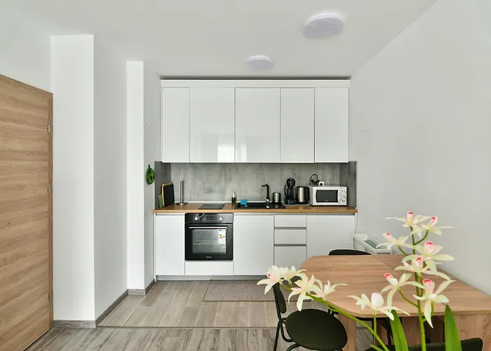 Free Parking Flats With Wifi And Pool *